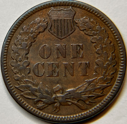 Fun-Find---1882-Indian-Cent-Snow-1